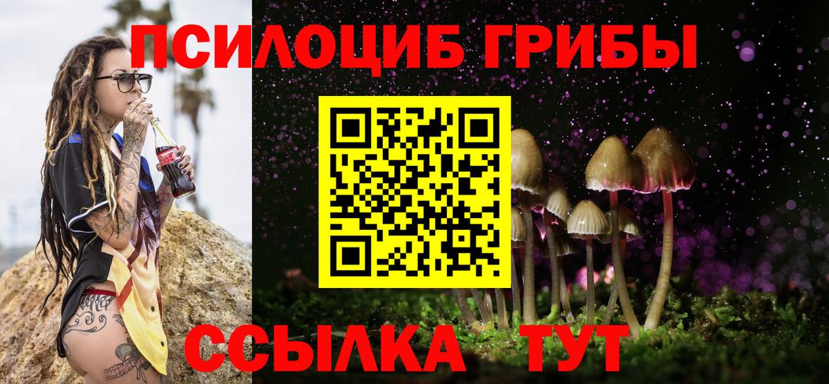 Галлюциногенные грибы мухоморы  как найти   Борисоглебск  Вход с VPN 