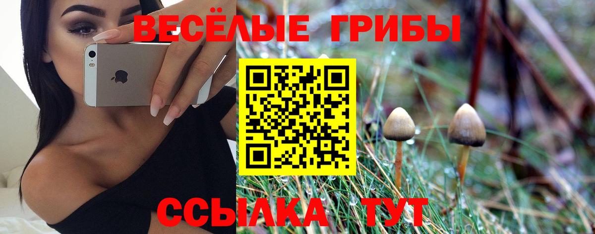 Псилоцибиновые грибы Cubensis Борисоглебск